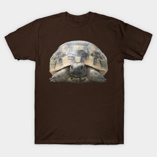 Greek Tortoise Testudo Tucked In Shell Cut Out T-Shirt